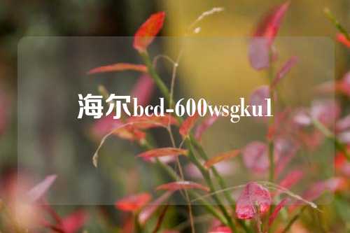 海尔bcd-600wsgku1
